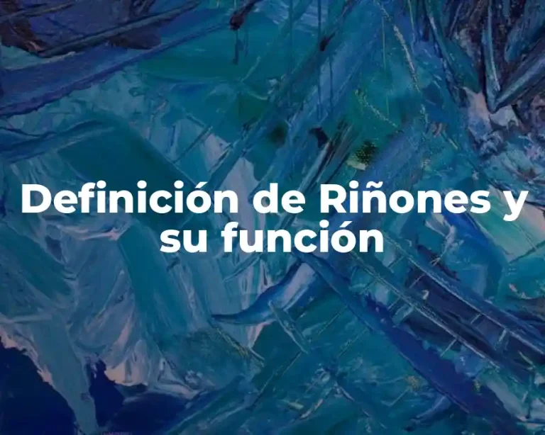 Definición de Riñones y su función