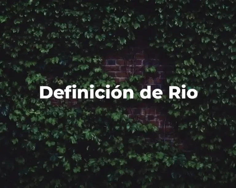 Definición de Rio