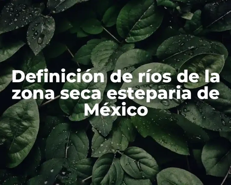 Definición de ríos de la zona seca esteparia de México