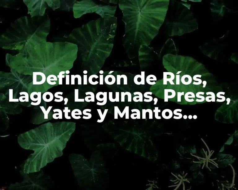 Definición de Ríos, Lagos, Lagunas, Presas, Yates y Mantos Acuíferos Subterráneos