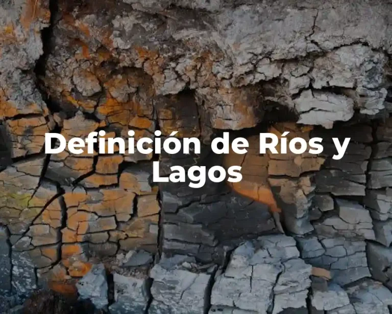 Definición de Ríos y Lagos