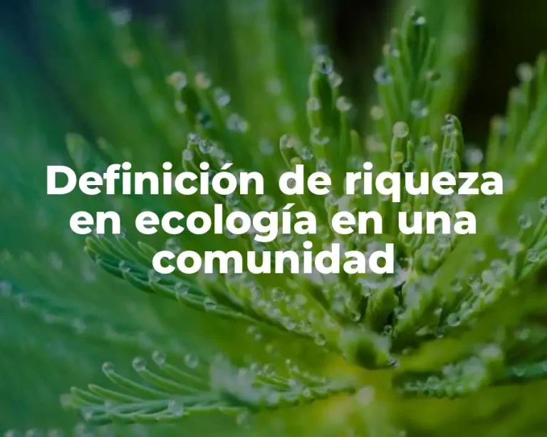 Definición de riqueza en ecología en una comunidad