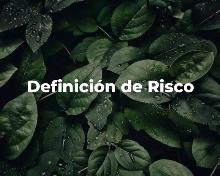 Definición de Risco