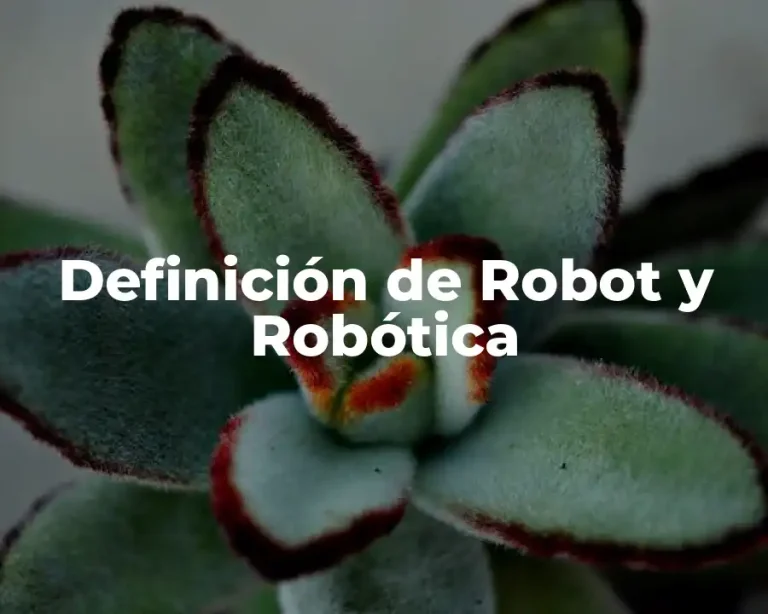 Definición de Robot y Robótica