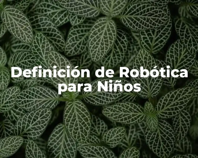 Definición de Robótica para Niños