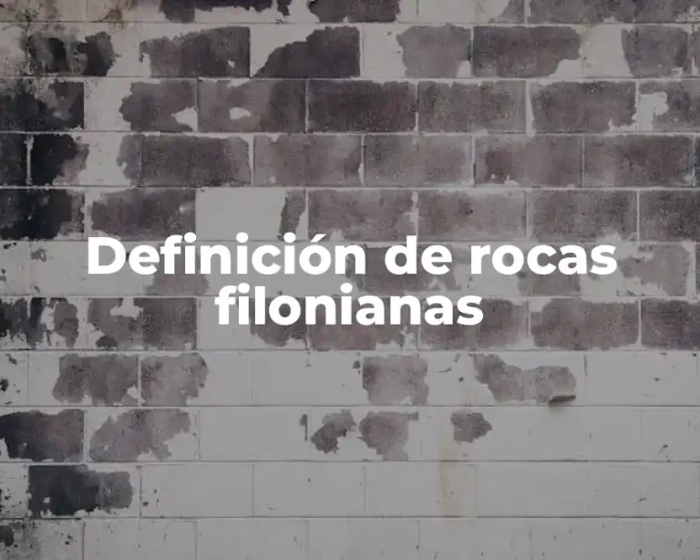 Definición de rocas filonianas