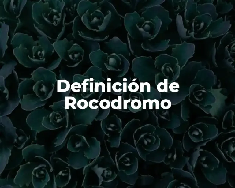 Definición de Rocodromo