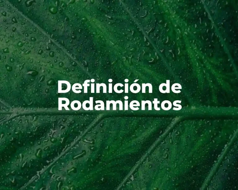 Definición de Rodamientos