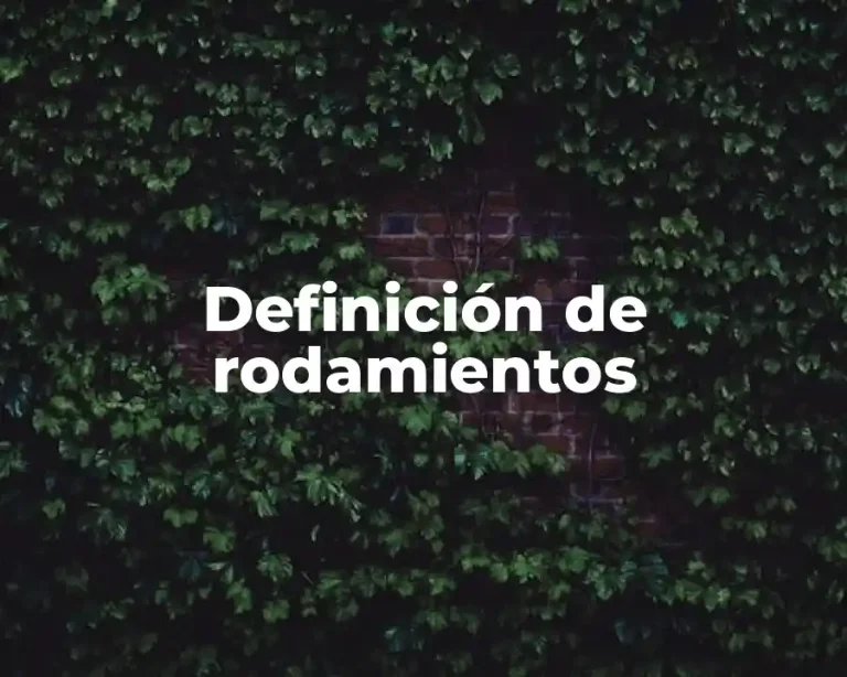 Definición de rodamientos