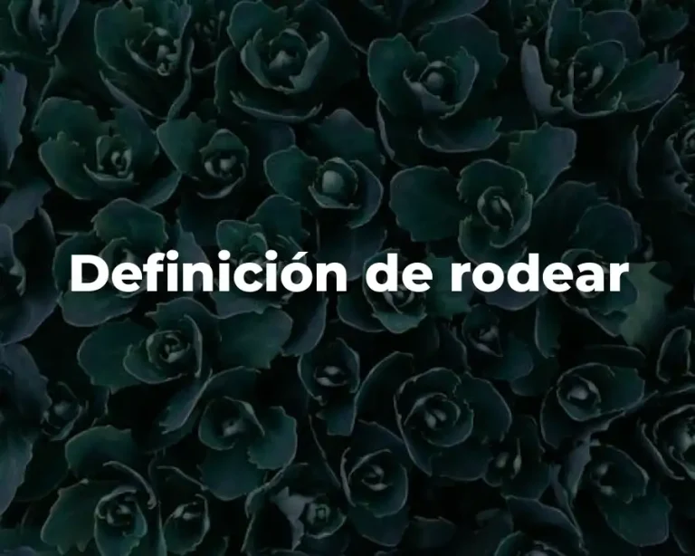 Definición de rodear