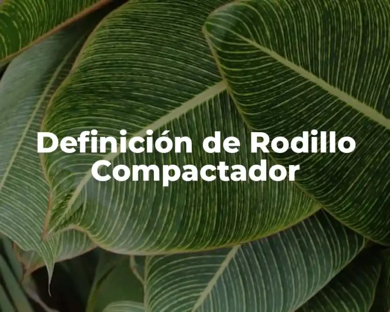 Definición de Rodillo Compactador