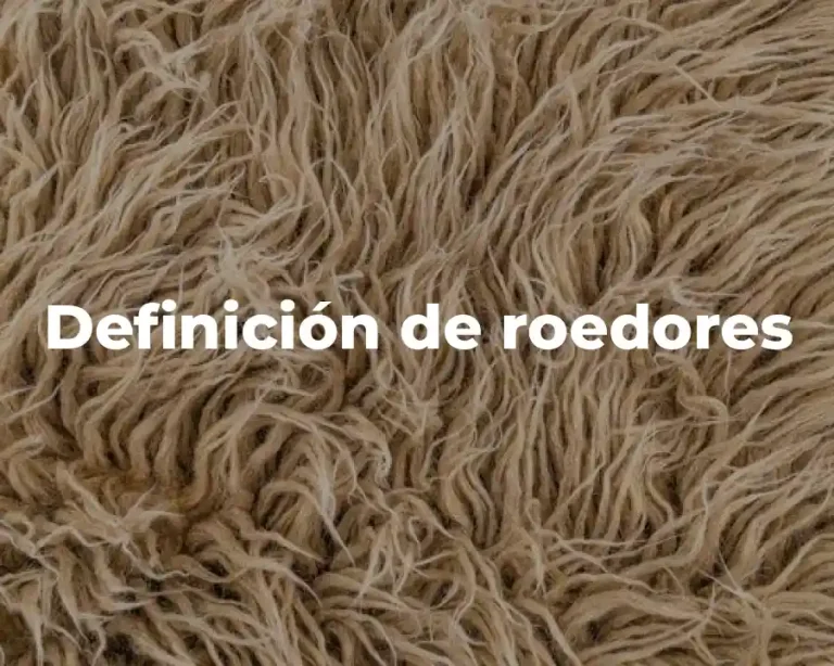 Definición de roedores