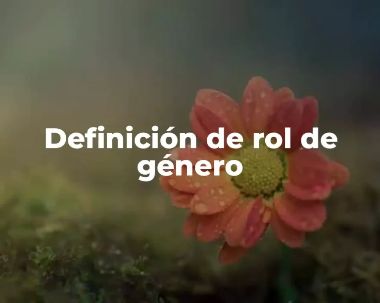Definición de rol de género