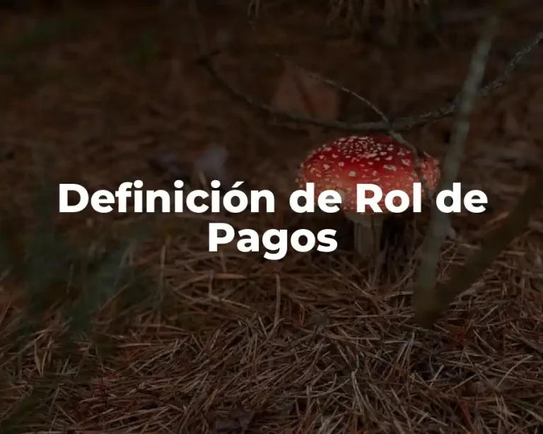 Definición de Rol de Pagos
