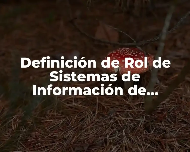 Definición de Rol de Sistemas de Información de Negocios