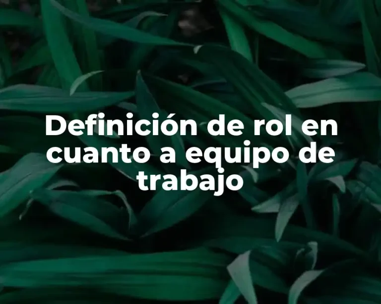 Definición de rol en cuanto a equipo de trabajo
