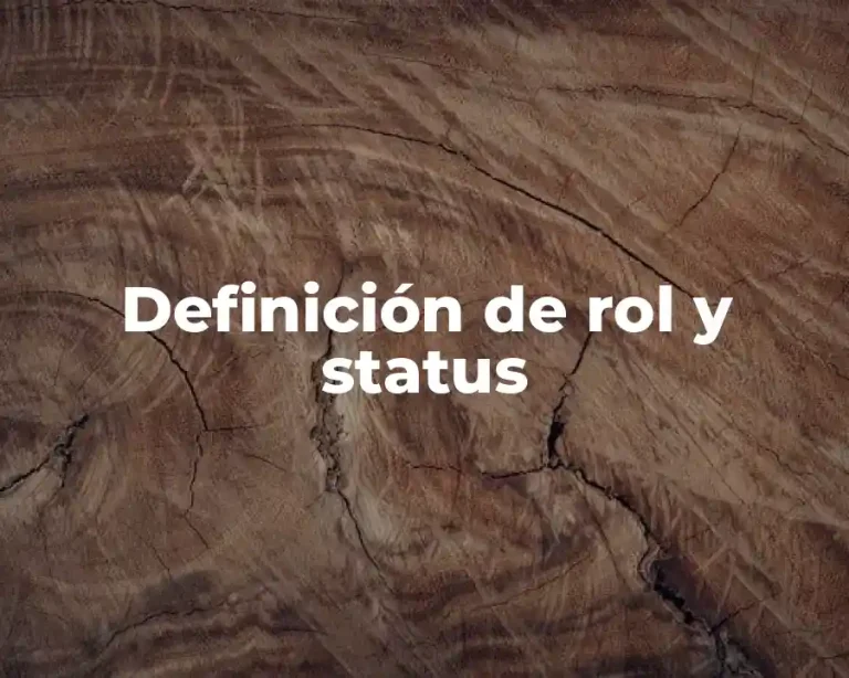 Definición de rol y status