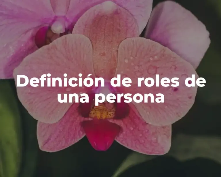 Definición de roles de una persona