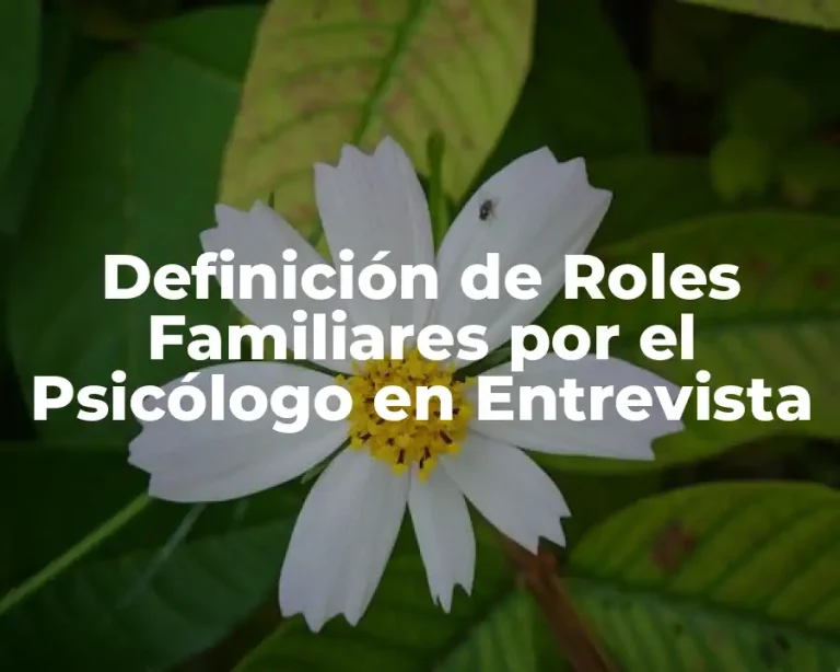 Definición de Roles Familiares por el Psicólogo en Entrevista