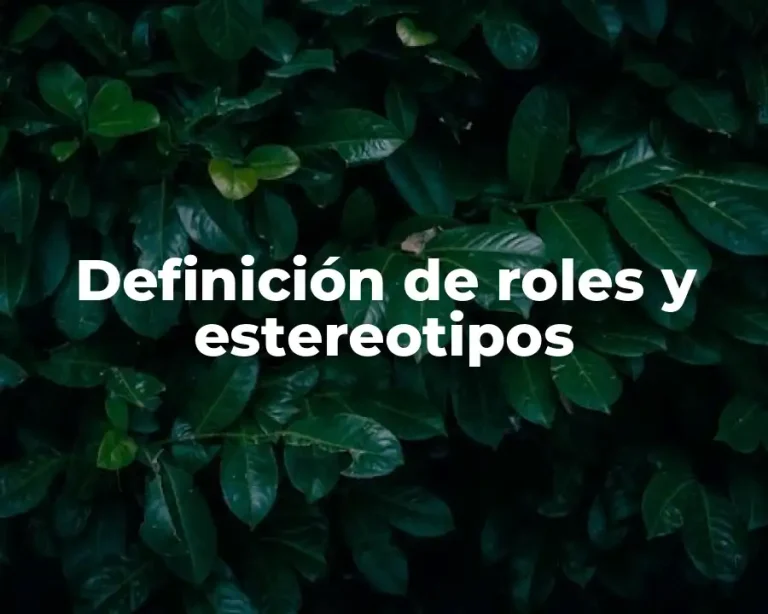 Definición de roles y estereotipos