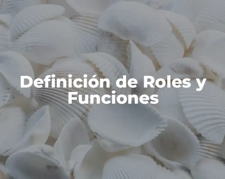 Definición de Roles y Funciones