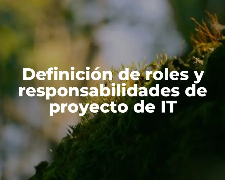 Definición de roles y responsabilidades de proyecto de IT