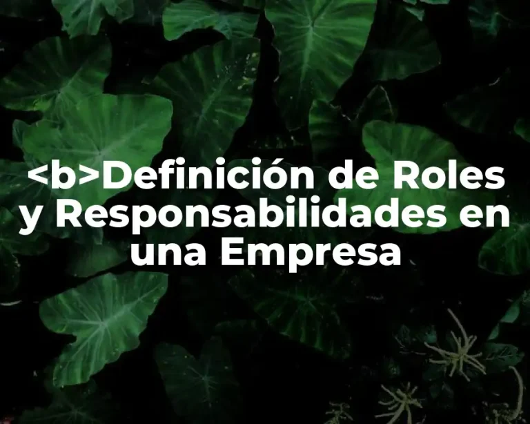 <b>Definición de Roles y Responsabilidades en una Empresa