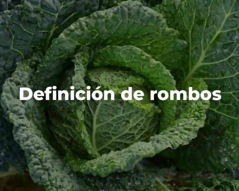 Definición de rombos