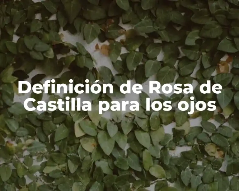 Definición de Rosa de Castilla para los ojos