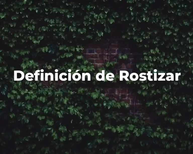 Definición de Rostizar