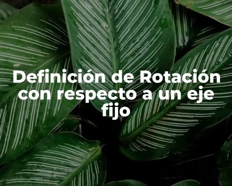 Definición de Rotación con respecto a un eje fijo