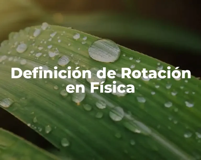 Definición de Rotación en Física