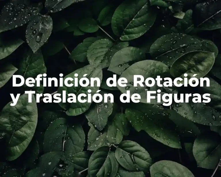 Definición de Rotación y Traslación de Figuras