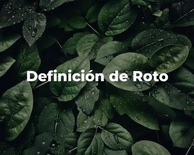 Definición de Roto