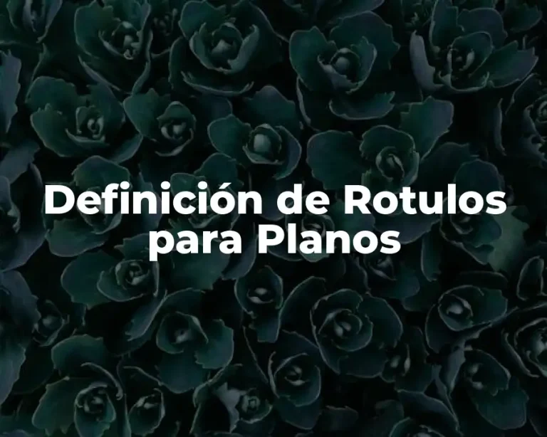 Definición de Rotulos para Planos
