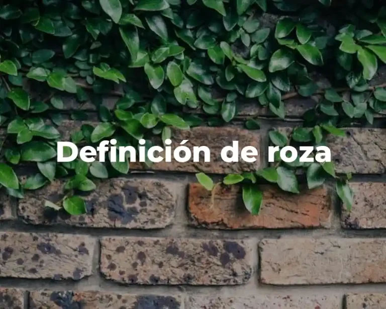 Definición de roza