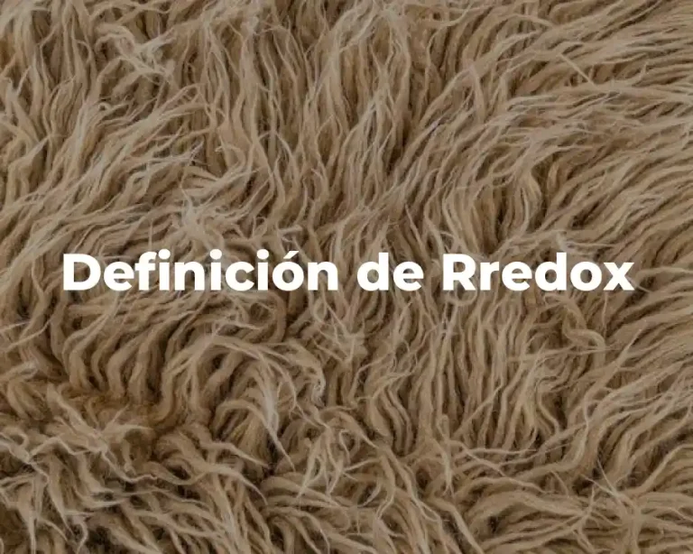 Definición de Rredox