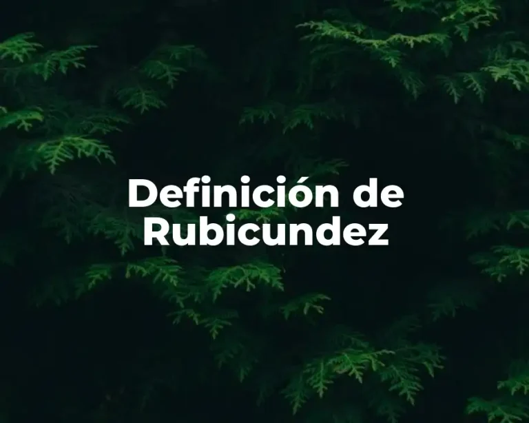 Definición de Rubicundez