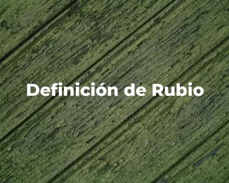 Definición de Rubio