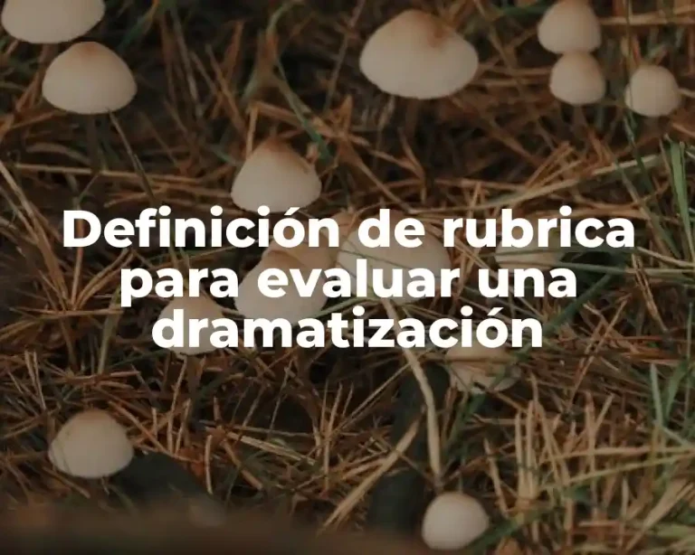 Definición de rubrica para evaluar una dramatización