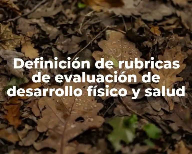 Definición de rubricas de evaluación de desarrollo físico y salud