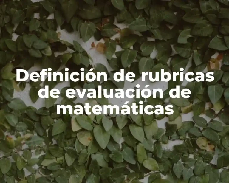 Definición de rubricas de evaluación de matemáticas