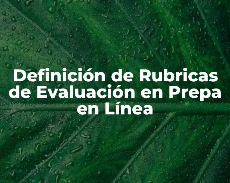 Definición de Rubricas de Evaluación en Prepa en Línea