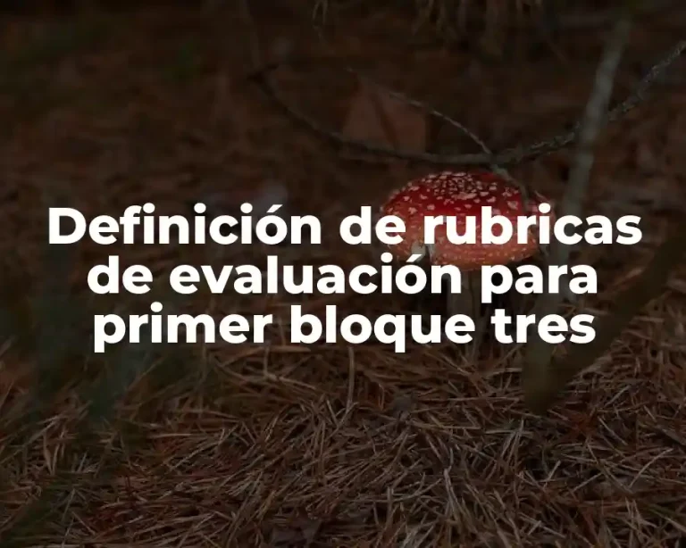Definición de rubricas de evaluación para primer bloque tres
