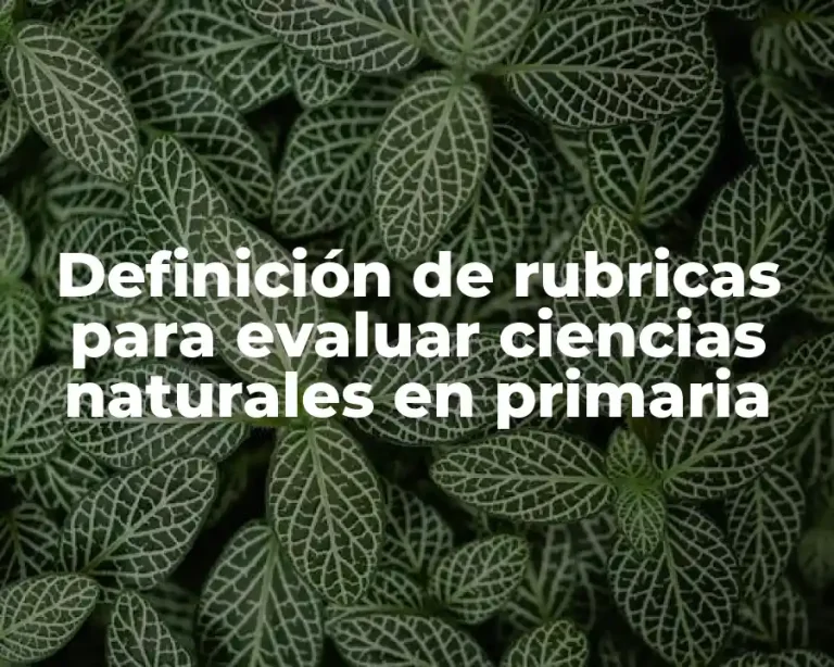 Definición de rubricas para evaluar ciencias naturales en primaria