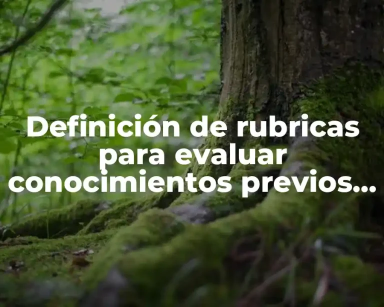 Definición de rubricas para evaluar conocimientos previos sobre derechos humanos