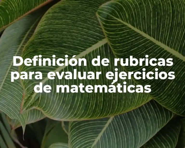 Definición de rubricas para evaluar ejercicios de matemáticas