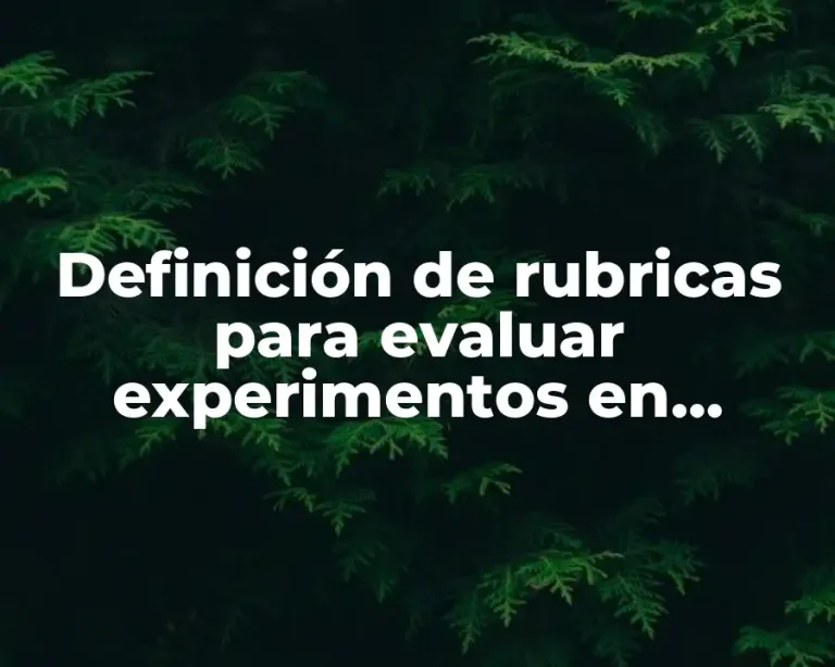 Definición de rubricas para evaluar experimentos en ciencias en bachillerato