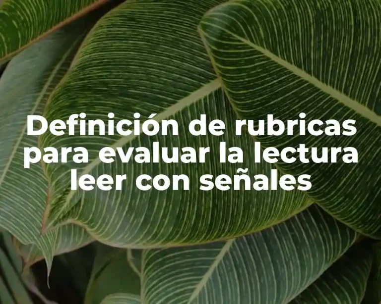 Definición de rubricas para evaluar la lectura leer con señales