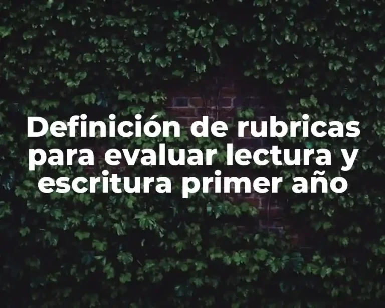 Definición de rubricas para evaluar lectura y escritura primer año